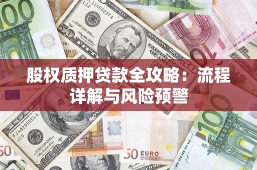 北京股权质押贷款全攻略：流程详解与风险预警
